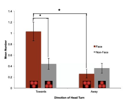 <p><span> fetuses moved their head toward the face-like, top-heavy stimuli longer than they had their head turned away</span></p>