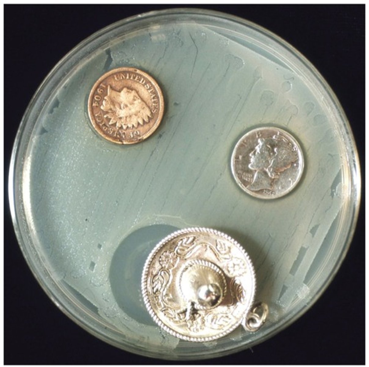 <p>Metals with toxic effects on the body, including lead and mercury.</p>