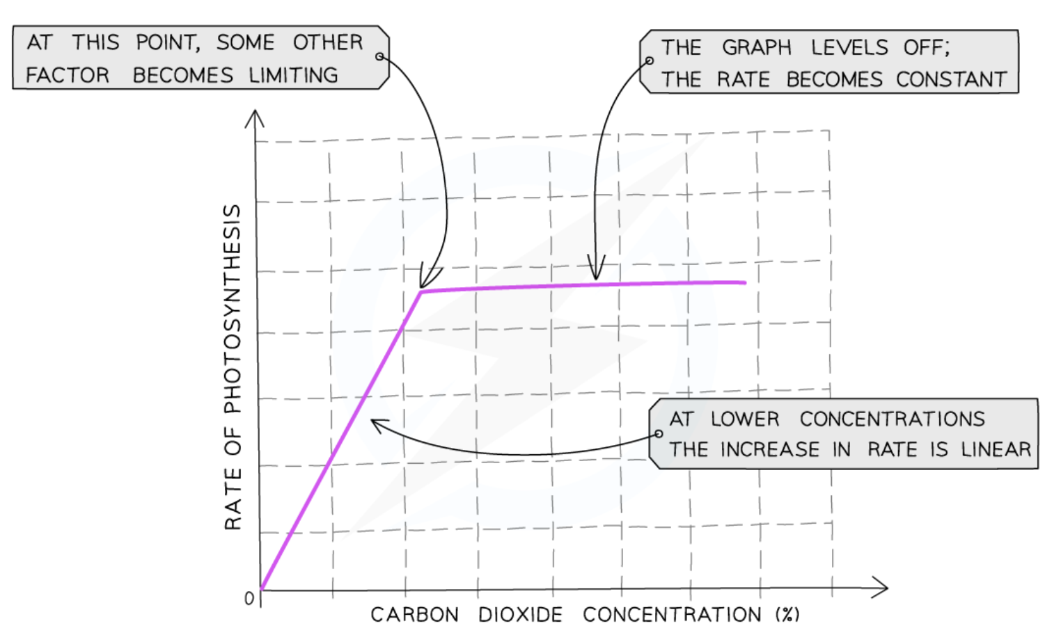<ul><li><p>the more CO<sub>2</sub>, the faster the rate of photosynthesis until a certain point</p></li><li><p>once that point is reached, some other factor prevents the rate of photosynthesis increasing further</p></li><li><p>CO<sub>2</sub> is no longer the<strong> limiting factor</strong></p></li></ul><p></p>