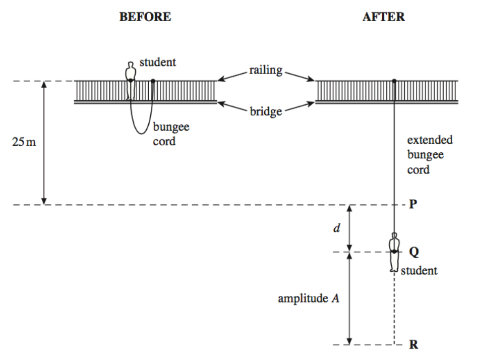 <p>The bungee cord has a significant mass. Where along the bungee cord is the stress a maximum? <strong>(2)</strong></p>