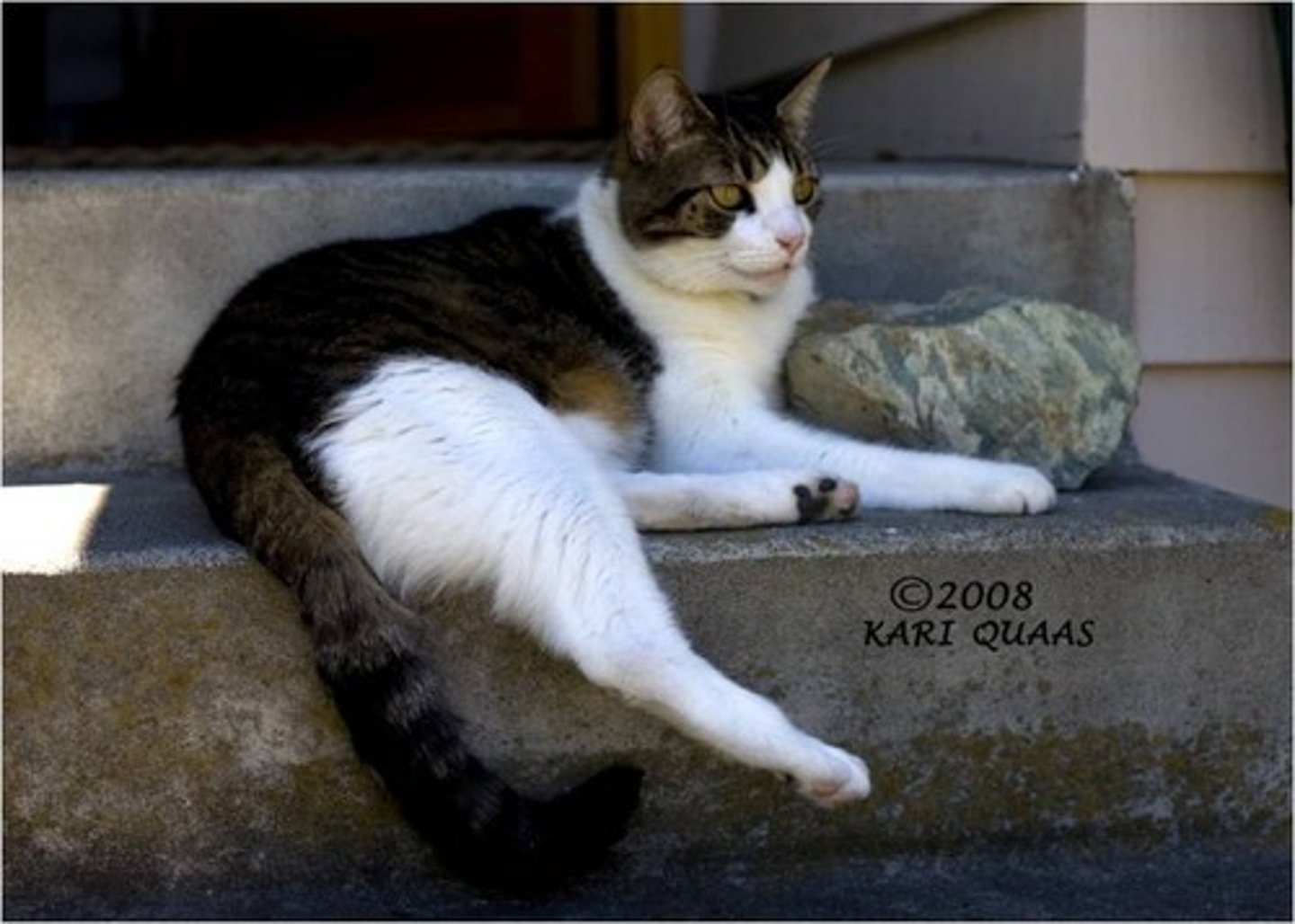 <p>in a calm and relaxed way, showing no sign of worry</p>