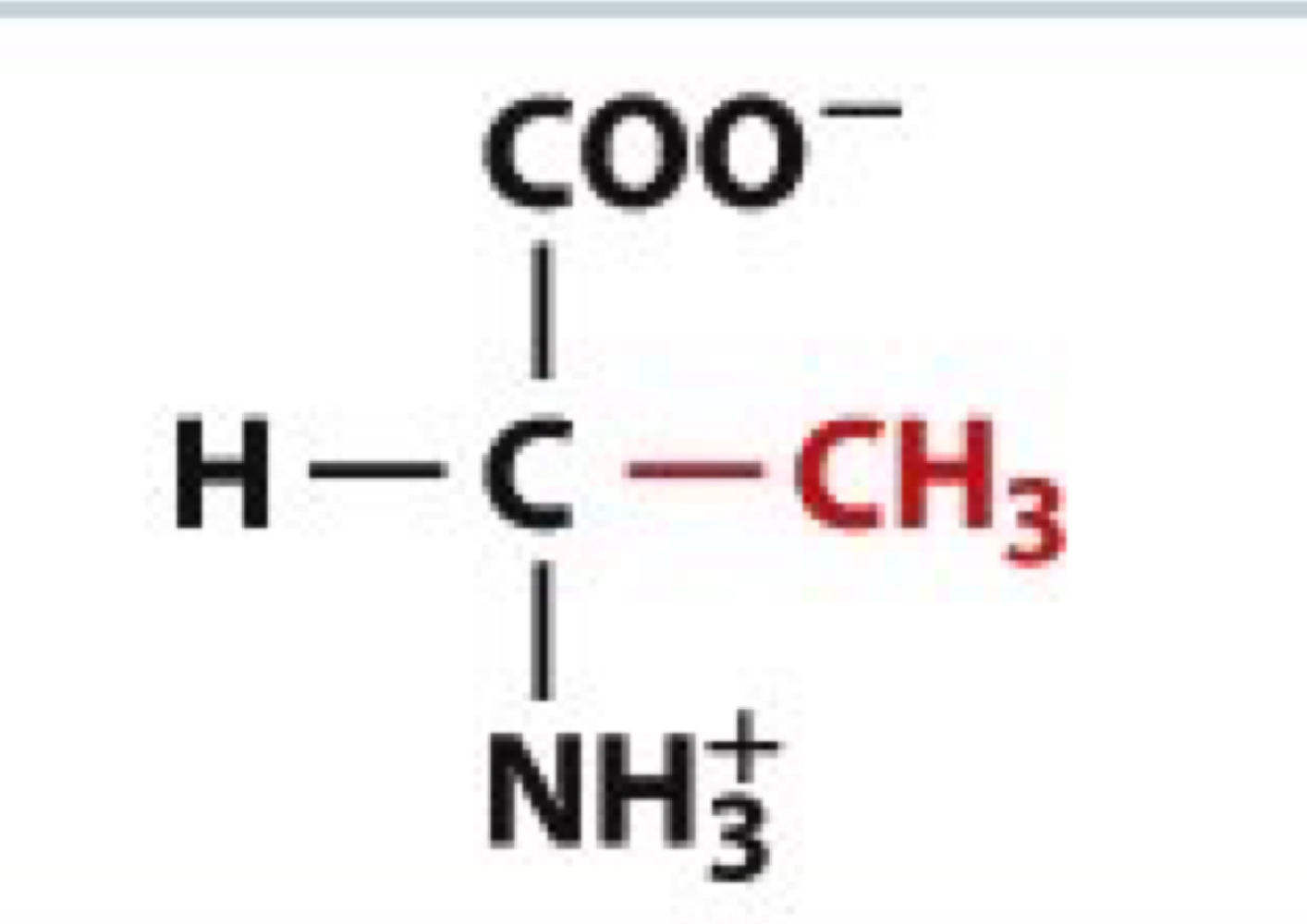 <ul><li><p>Ala, A</p></li><li><p>non-polar</p></li></ul><p></p>