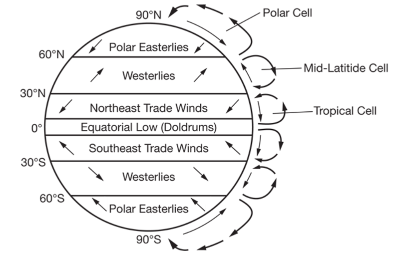 <p><span><span>Which of the following is the best explanation for the deflection of the trade winds in both hemispheres, as seen in the diagram above?</span></span></p>