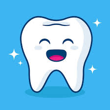<p>teeth</p>