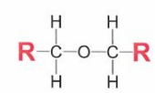 organic functional group, oxygen atom with hydrocarbon on either side