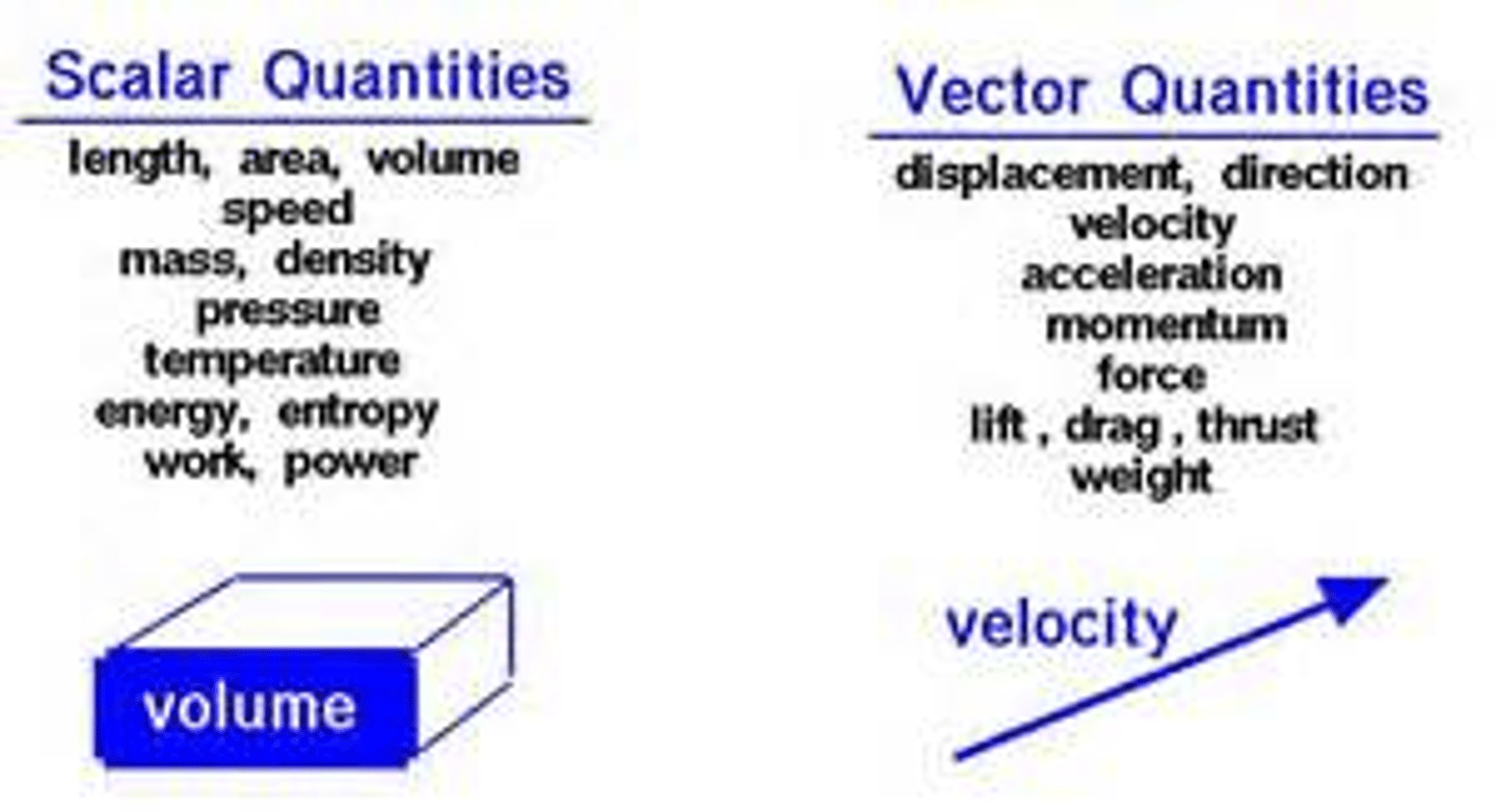 <p>displacement</p><p>velocity</p><p>acceleration</p><p>force</p><p>others.</p>