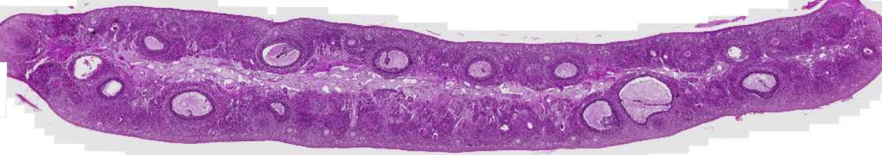 <p>What is this?</p>