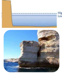 * Type of coastal erosional landform
* Vertical all the way down to sea floor
* No beach, exposed bedrock