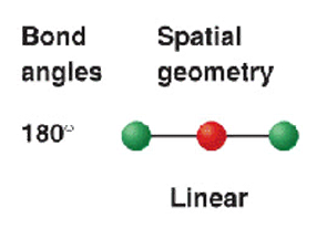 <p>linear </p><p>180*</p><p>BeCl<sub>2 </sub></p>