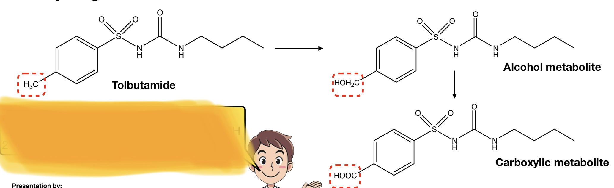 <p><strong>TOLBUTAMIDE</strong> TO <strong>ALCOHOL METABOLITE</strong> TO <strong>CARBOXYLIC METABOLITE</strong></p>