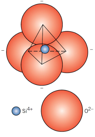<p>SiO₄⁴⁻ anion (the silica tetrahedron)</p>