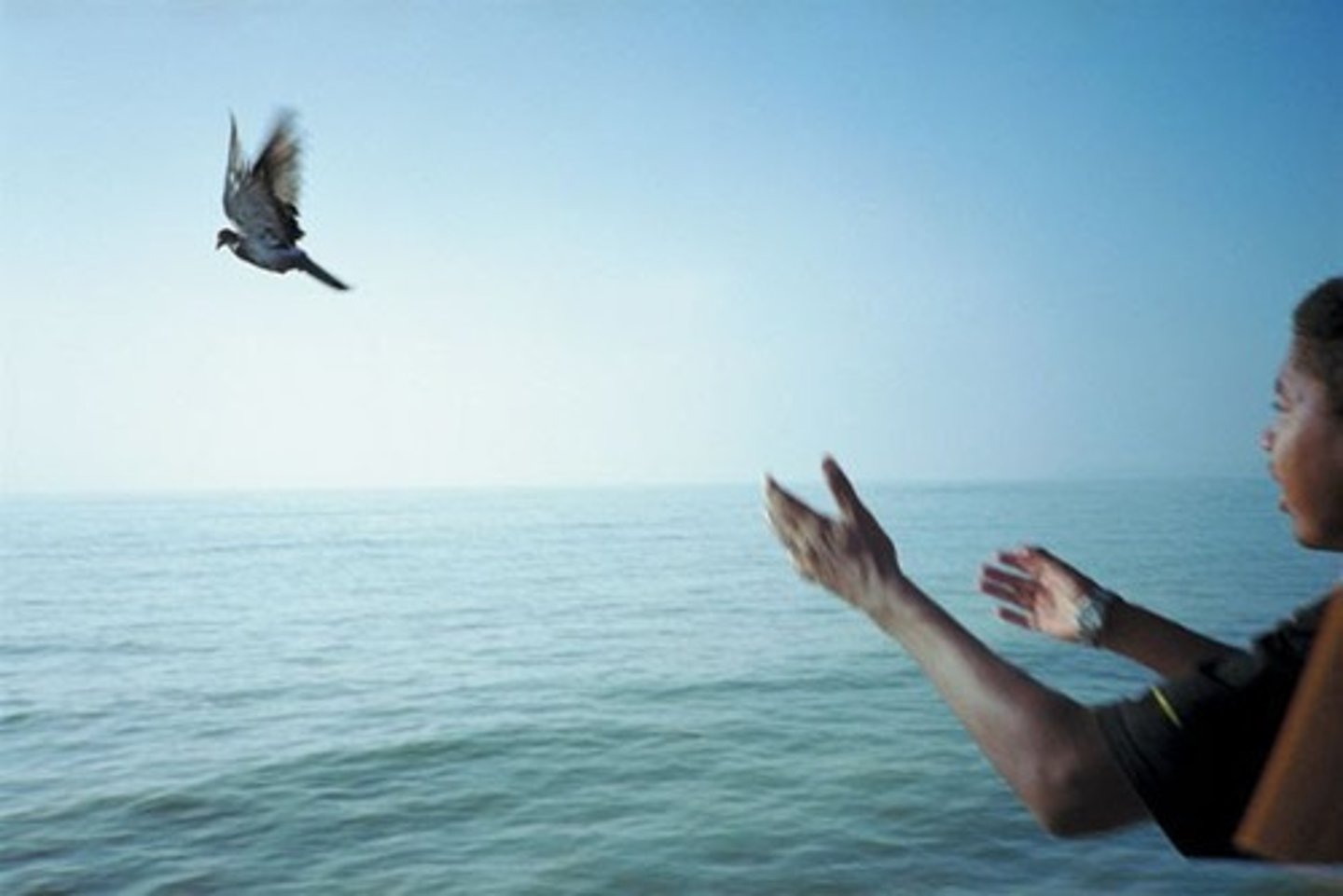 <p>to let go, to untie, to free - optional to learn</p>