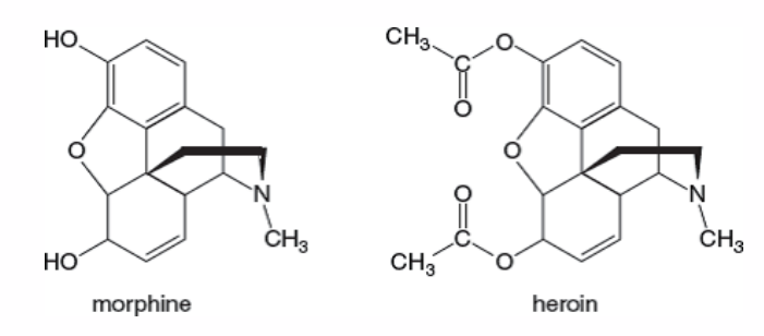 <p>- diacetylmorphine (i.e morphine with two acetyl groups)</p><p>- frequent and regular administration can quickly cause tolerance and dependence, and as such, heroin has a very high potential for addiction</p><p>- if sustained use of heroin for as little as 3 days is stopped abruptly, withdrawal symptoms can appear</p>