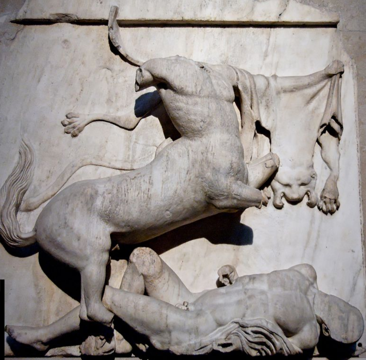 <p>What is this metope called? </p>