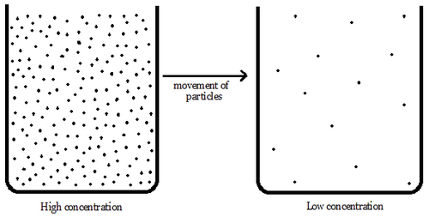 <p>how closely packed together objects are</p>