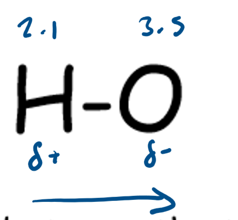 <p class="">When two elements in a covalent bond have different electronegativities the bond is polar<br>Greater difference in electronegativity = more polar bond<br>The more polar the bond the more bond ionic character the molecule has</p>