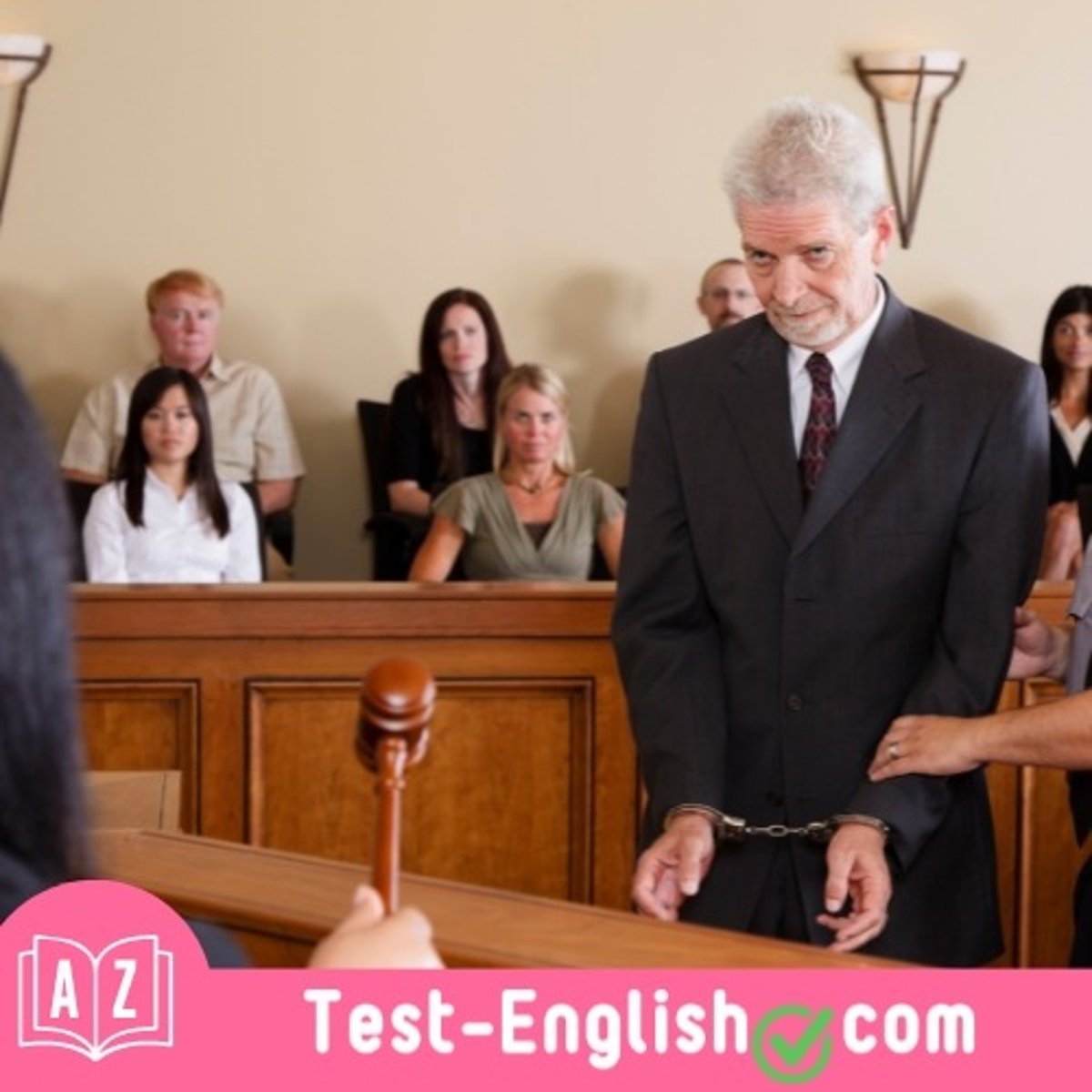 <p>The _____ sat nervously in the courtroom.</p>