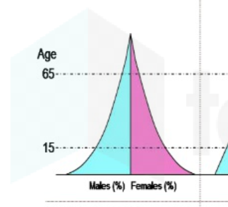 <p>Early and expanding </p><ul><li><p>birth high death low </p></li><li><p>Rapid population growth </p></li></ul>