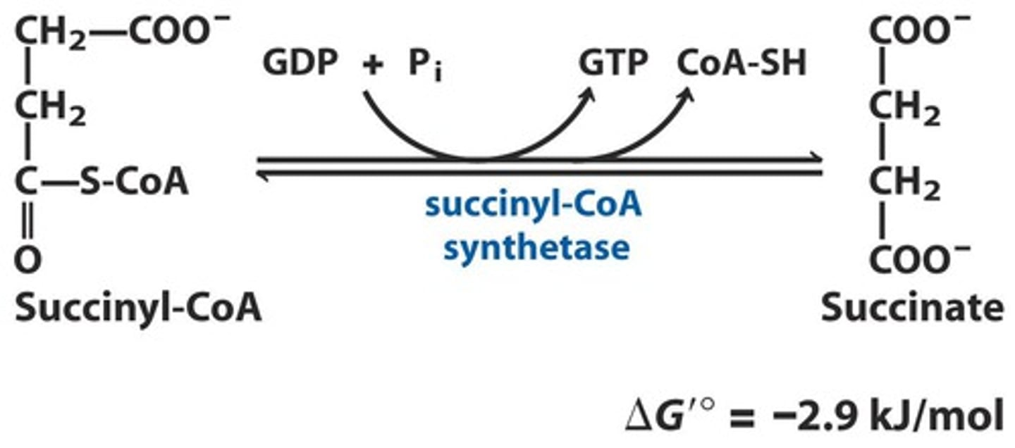 <p>Reactants: Succinyl-CoA + GDP (ADP) + P</p><p>Products: Succinate + GTP (ATP) + CoA-SH</p><p>Enzyme: Succinyl-CoA Synthetase</p><p>Delta G: -2.9 kJ/mol</p><p>Reversibility: Reversible</p>