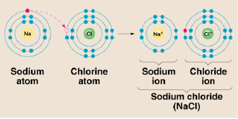 <p>Between atom of metal and non metal w/ different electronegative </p><p>Bond formed by transfer of e-</p><p>Examples: NaCl, CaCl2, K2O</p><p>Bonding in NaCl - involves Na e- transfer to Cl, causes charge imbalance in each atom, na becomes Na+ and Cl becomes Cl- charges particle or ion</p>