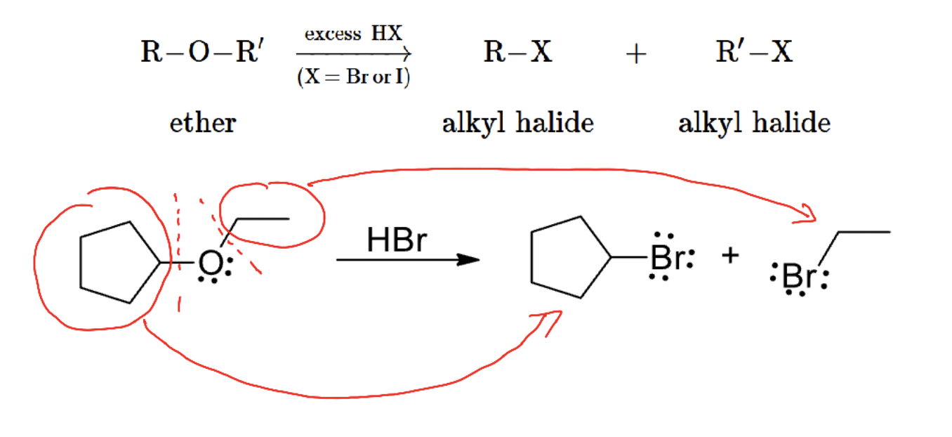 <p>Strong HX converts R–O–R′ into alkyl halides via protonation and SN1/SN2 pathways. </p>