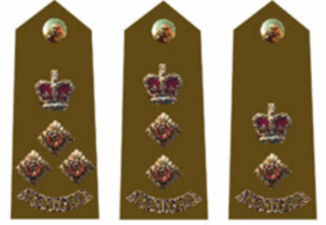 <p>Name these Army Ranks</p>