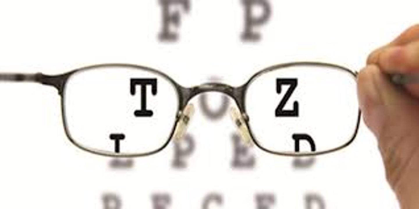 <p>able to be seen or understood; obvious: rõ ràng, hiển nhiên</p>