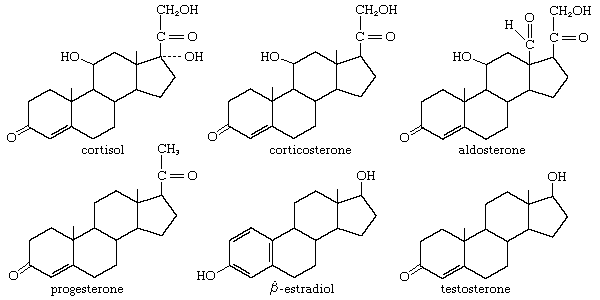 <p>4 fused carbon rings with different functional groups attached giving different properties </p>