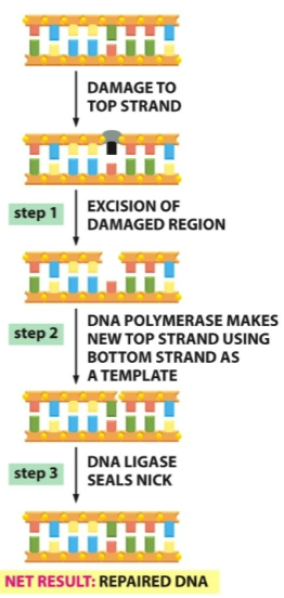 <p>What is this diagram</p>