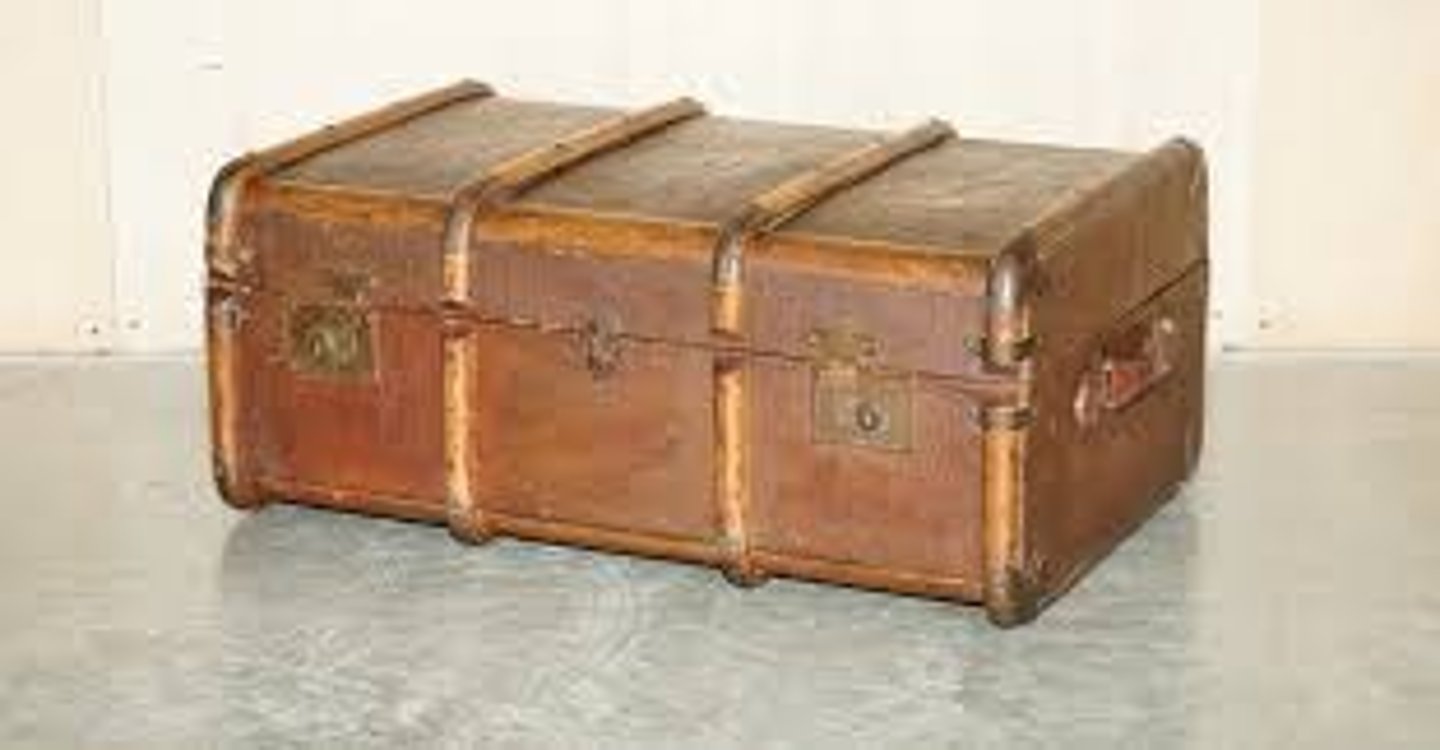 <p>trunk, chest</p>