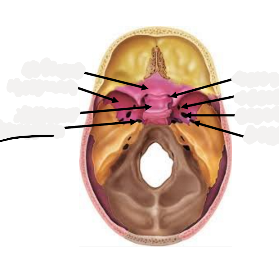 <p>nothing goes through here</p>