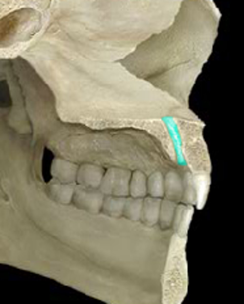 <p><em>identify the structure:</em></p>