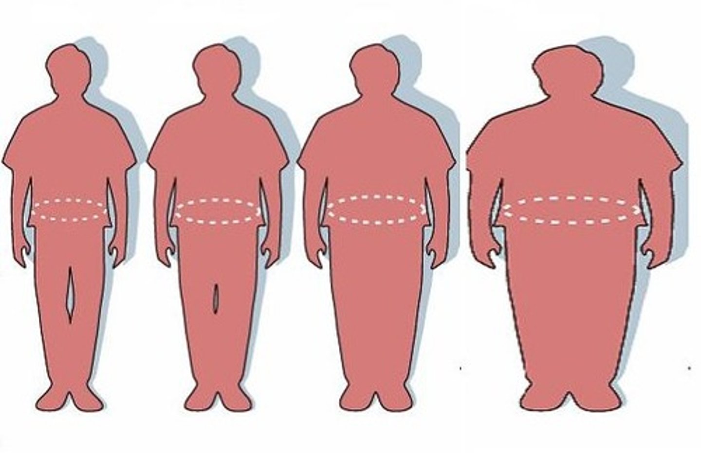 <p>to gain weight</p>