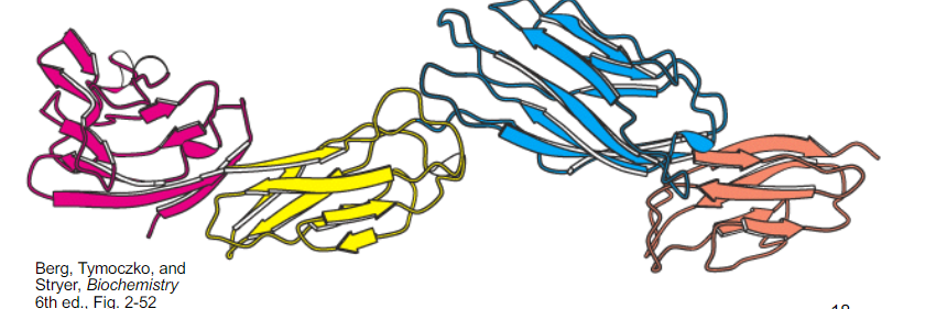 <p>how many domains in this protein?</p>