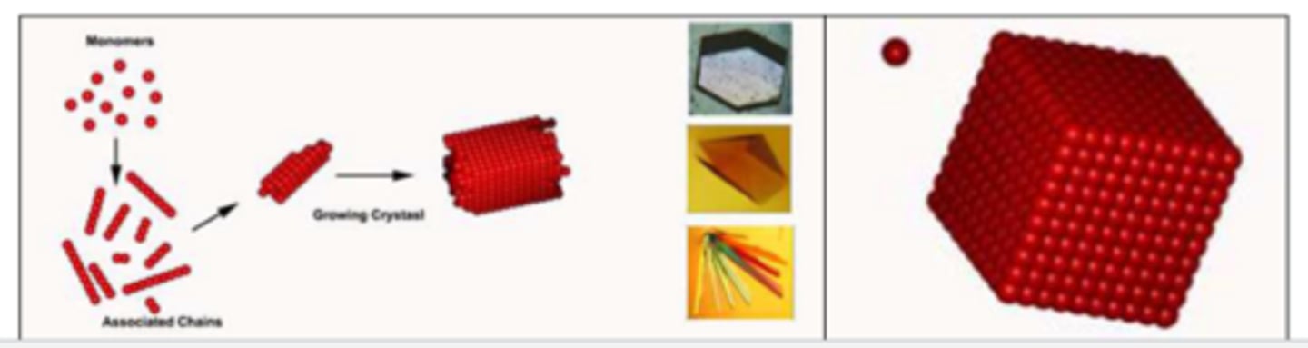 <p>-We need to make protein crystals because a single molecule is a very weak scatterer of X-rays. Most of the X-rays will pass through the molecule without being diffracted. The diffracted rays are too weak to be detected.</p><p>-Solution: Analyzing diffraction from crystals instead of single molecules. A crystal is a three-dimensional array of ordered molecules held together by noncovalent interactions. Under certain circumstances, macromolecules (protein, DNA, RNA) can form crystals. Signals from multiple molecules (~10^14) in crystals reinforce each other. The resulting diffracted rays are strong enough to be detected so you can determine protein structure.</p><p>-Need to make proteins arranged in tandem arrays/packed in a uniform, symmetric way in crystals</p><p>-Crystals are needed to determine protein structure</p>