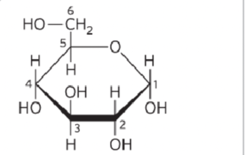 <p>What structure is this?</p>