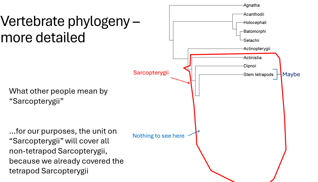 <p><span><span>What biologists who understand phylogenetics mean by “Sarcopterygii”</span></span></p>
