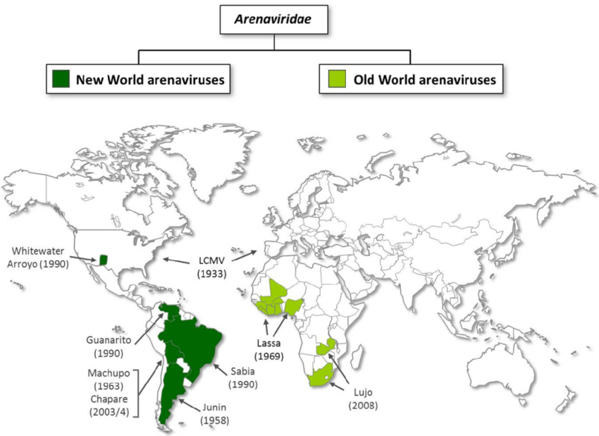 <p>The location of the rodent reservoir, which varies with each virus.</p>
