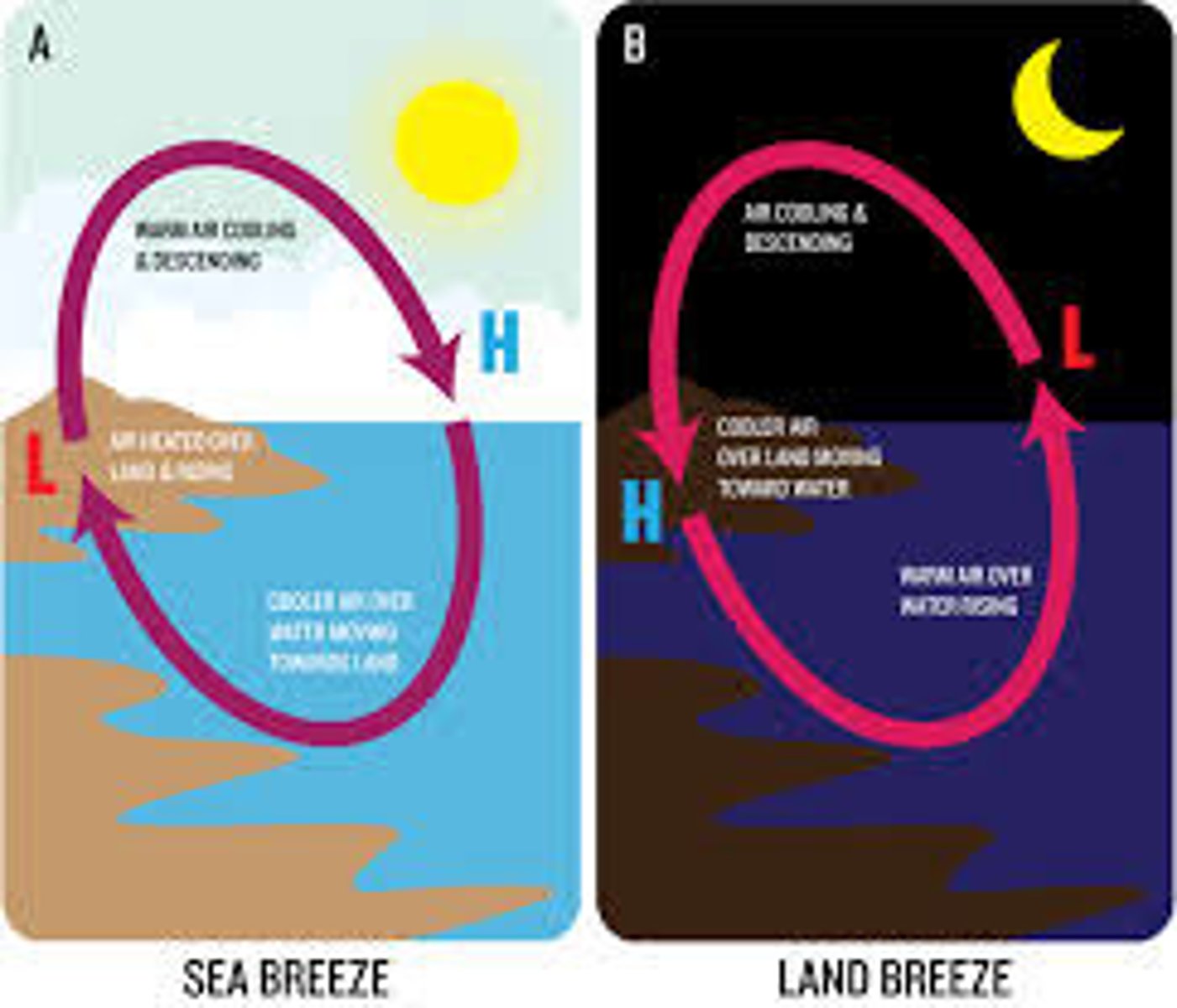 <p>These winds move short distances and can blow from any direction; can be produced by the temperature changes due to local geographic features.</p>