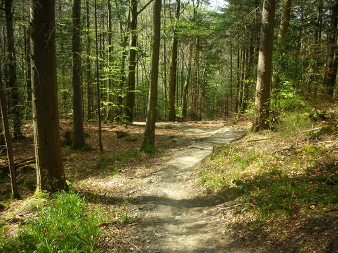 <p>path, trail</p>
