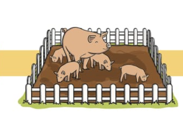 <p>a word that shows the relationship between a noun (or pronoun) and other words in a sentence. example: the pig stood <strong>in</strong> the field</p>