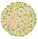 <p>individuals with colour blindness don’t see numbers, different colour combinations</p>