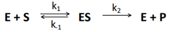 <p><u>Enzyme Kinetics</u></p><p>write out the formula for <em>K<sub>m</sub> </em>using the rate constants</p>