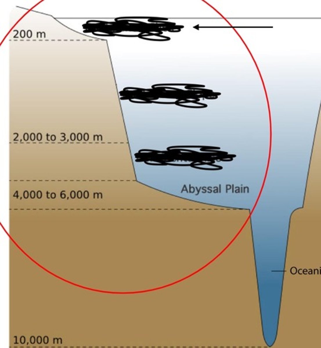 MARS3200 Exam 3 UGA Medeiros Flashcards Knowt