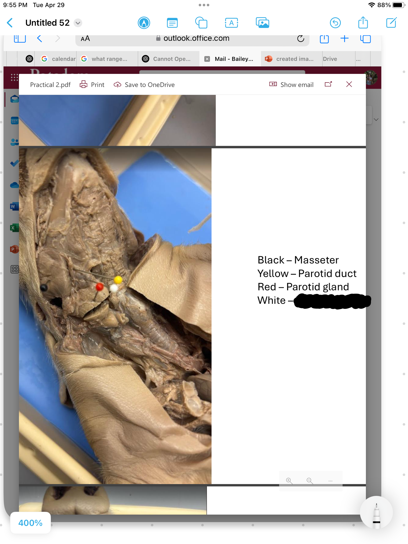 <p>label the area</p>