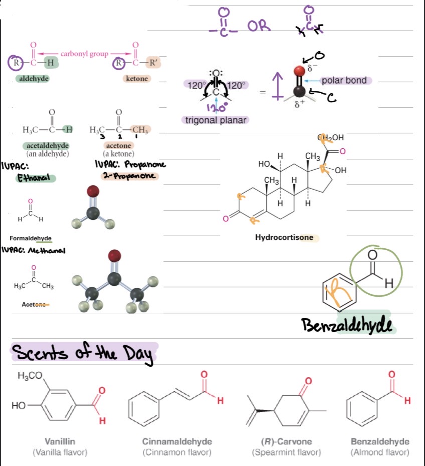 <ul><li><p>Carbonyl (C=O)</p></li><li><p>R–CHO</p></li><li><p>R–CO–R′</p></li></ul><p></p>