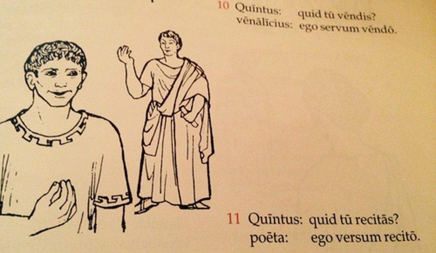 <p>Quīntus: What are you reciting?</p><p>poet: I am reciting verses.</p>