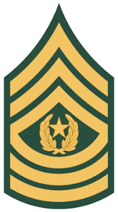 <p><strong>Command Sergeant Major E9</strong></p>