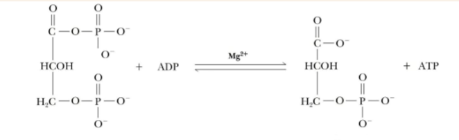 <p>What enzyme goes with this reaction</p>