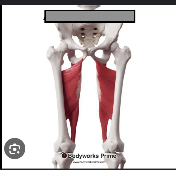 <p></p>